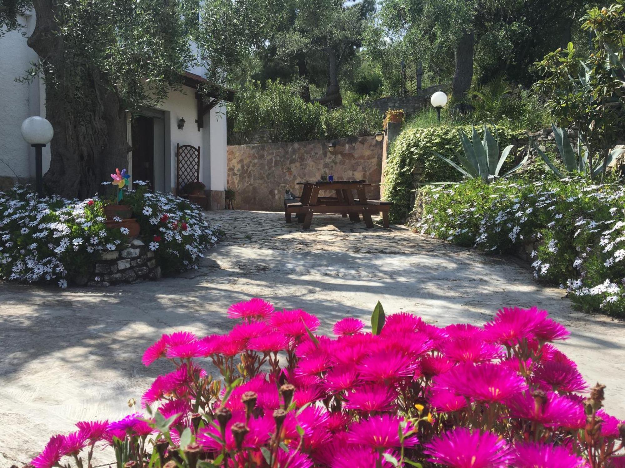 Azienda Agricola B&B Macchiaria Весте Екстериор снимка