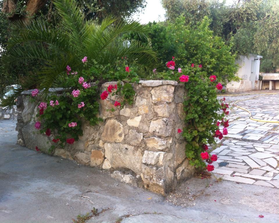 Azienda Agricola B&B Macchiaria Весте Екстериор снимка