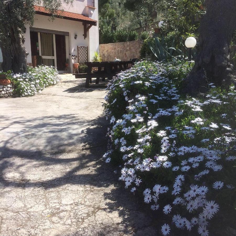 Azienda Agricola B&B Macchiaria Весте Екстериор снимка